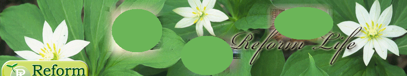 住宅のリフォームと太陽光発電や外断熱紹介サイト、リフォームライフ